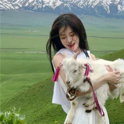 我的新野蛮女友