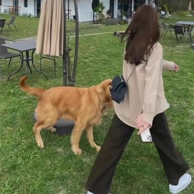 养子不教谁之过
